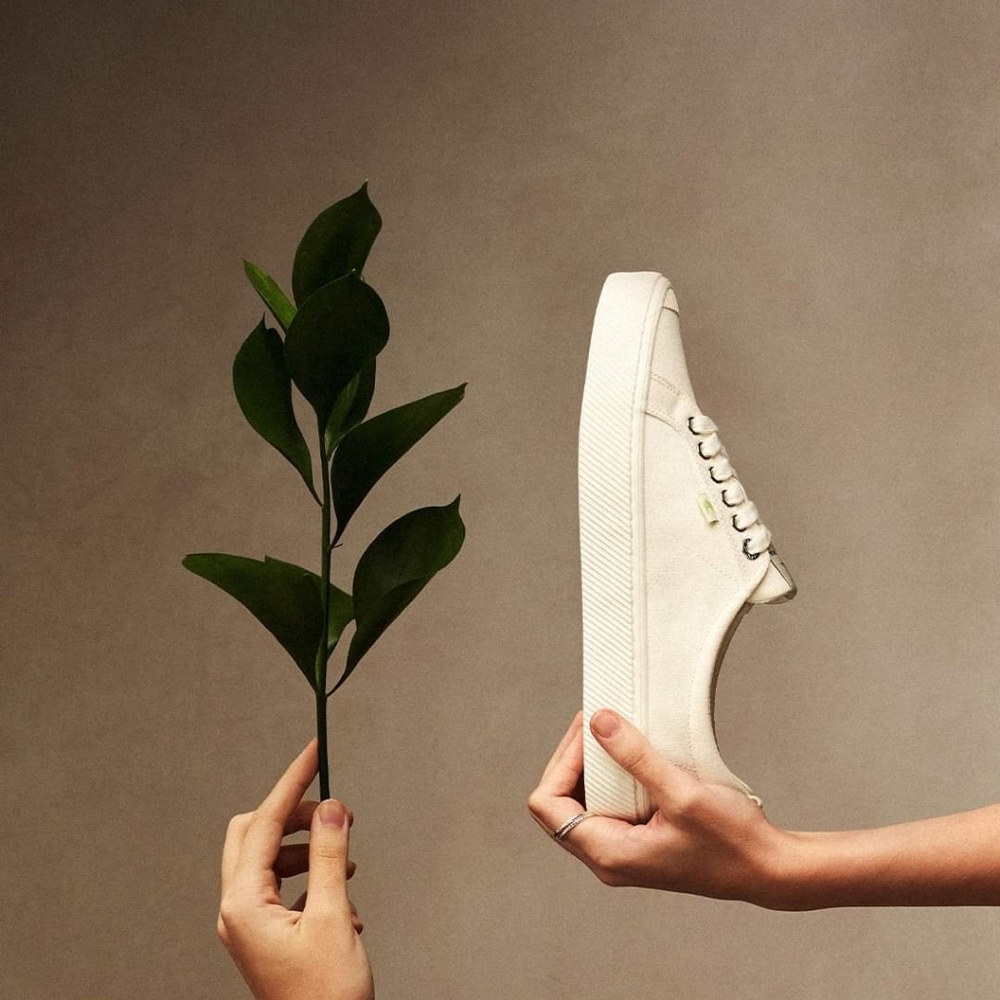 Cariuma OCA Off-White Low Canvas Sneakers Unisex NIB Unisex 7 Men or 8.5 Women